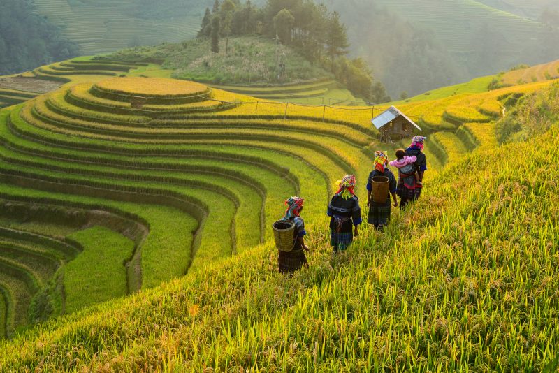 L’Asie du Sud Est : ON VOUS DIT TOUT SUR NOTRE VOYAGE !